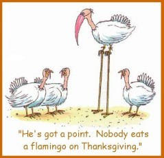 http://www.heart-valve-surgery.com/Images/Thanksgivingflamingo.jpg