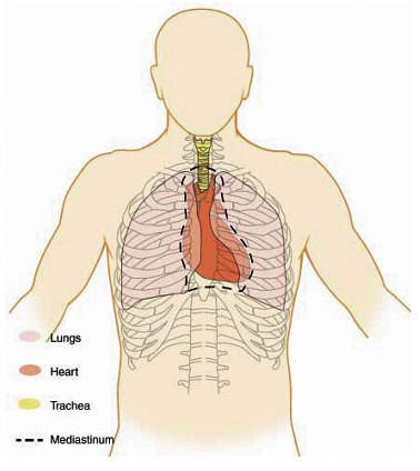 recently had heart valve