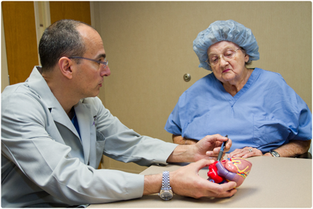 Surgeon Holding Plastic Heart With Patient