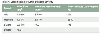 Heart Valve Size Chart