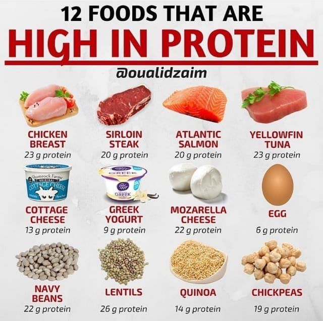 High Protein Foods