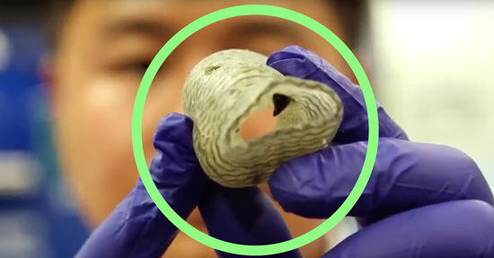 3D Printed Heart Valve