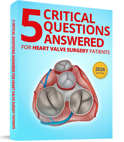 5 Critical Questions eBook