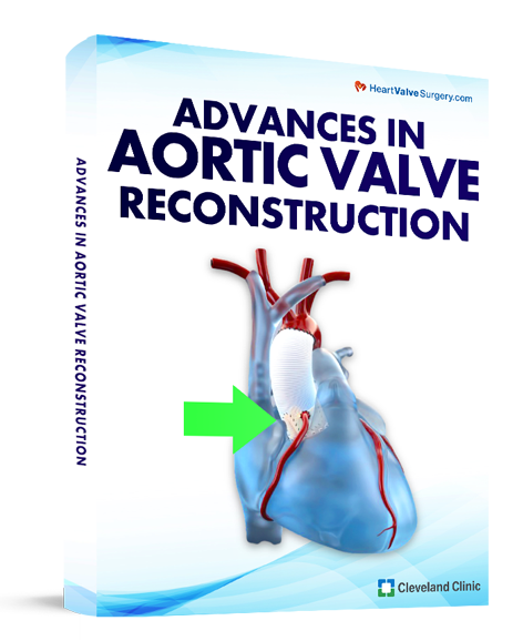 Advances in Aortic Valve Reconstruction