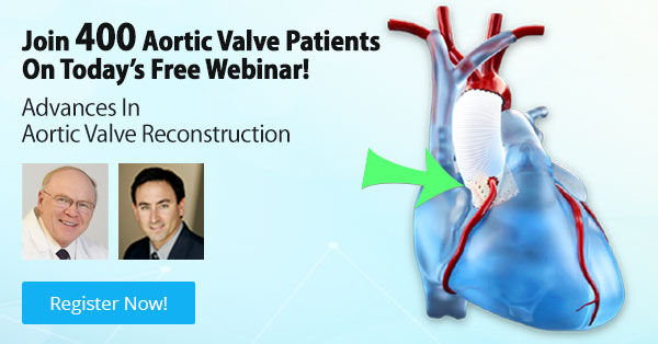 Advances in Aortic Valve Reconstruction