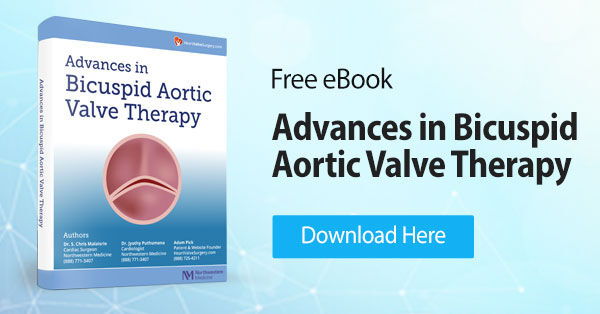Advances in Bicuspid Aortic Valve Therapy eBook