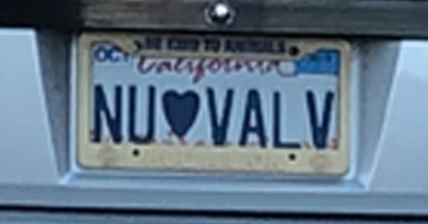 Car license plate that reads Nu Valve