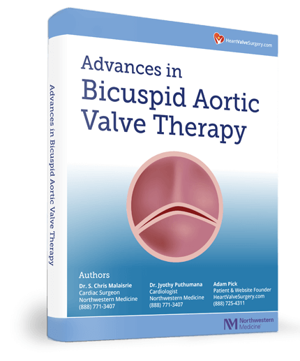 Advances in Bicuspid Aortic Valve Therapy