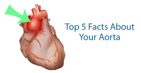 Top 5 facts about the aorta and aneurysms