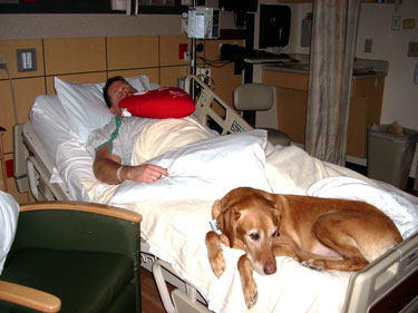 Dyno, Dog Therapist Visits Heart Surgery Patient and Owner, Erik