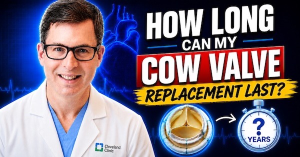 How Long Can My Cow Valve Replacement Last?