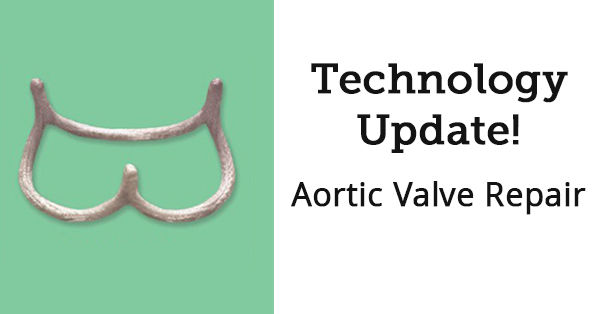 Aortic valve repair update