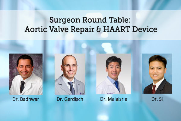 Aortic Valve Repair Surgeon Panel