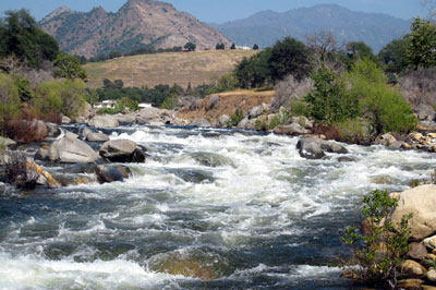 Turbulent white water river in the mountains