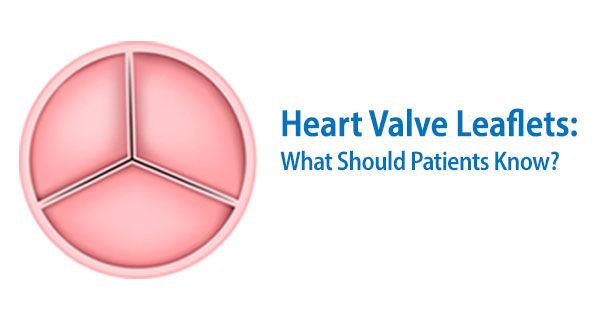 Heart Valve Leaflets