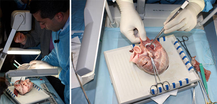 Wet Lab For Cardiac Surgery