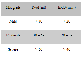 Mitral regurgitation grading - mild, moderate, severe
