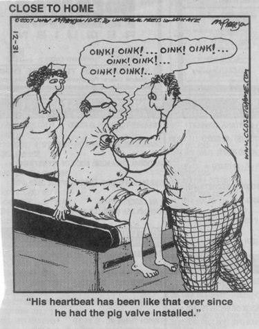 Pig Valve Cartoon