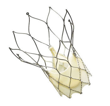 Portico TAVR valve
