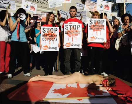 Animal rights protestors
