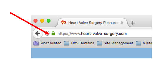 Secure socket layer on HeartValveSurgery.com website
