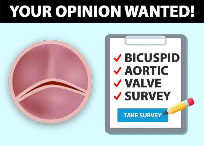Bicuspid Aortic Valve Survey