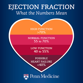 Ejection Fraction