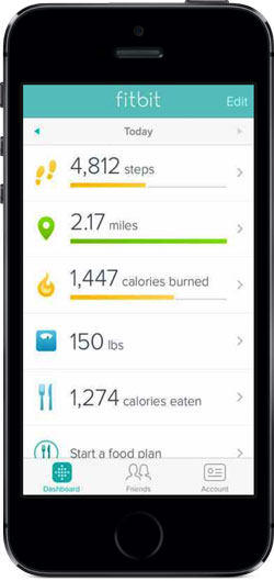 Fitbit Interface
