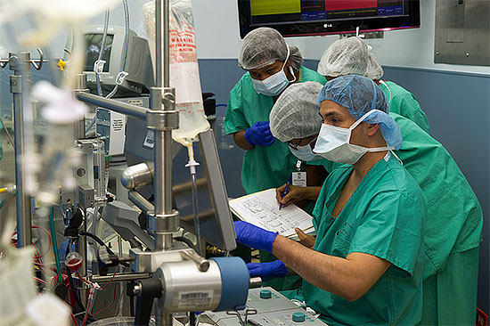 Juan Obando, The Perfusionist