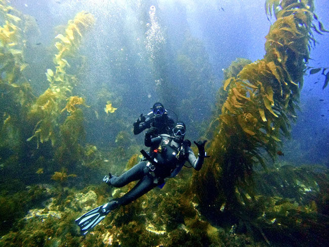 Scuba Dive After Heart Surgery