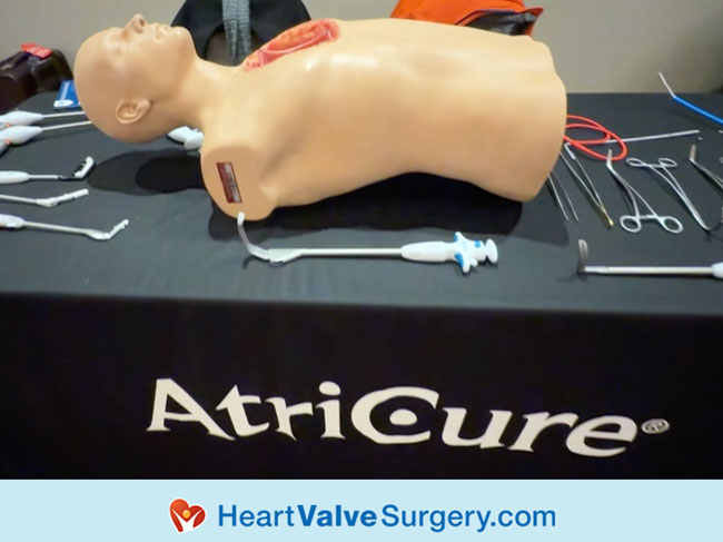 AtriCure Simulator Mitral Conclave