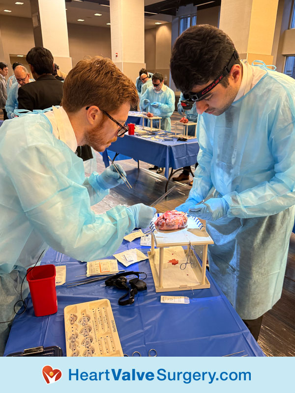 Dominic Emerson Teaching Mitral Valve Repair at Conclave