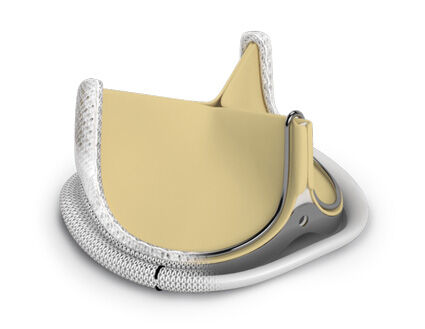 Edwards PERIMOUNT Heart Valve