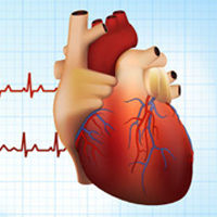 Atrial Fibrillation & Mechanical Valve Replacements