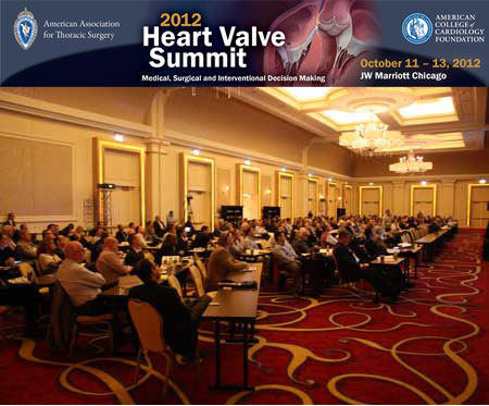 Heart Valve Summit 2012 - Conference Room