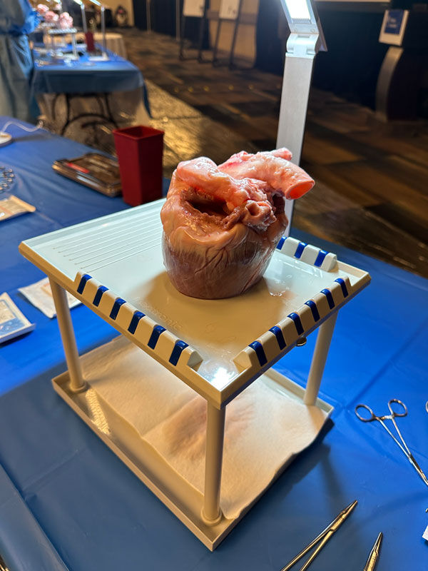 Pig Heart Valve Wet Lab