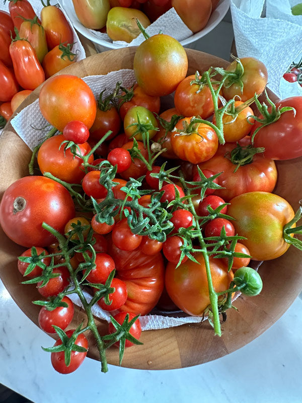 Tomato Bowl