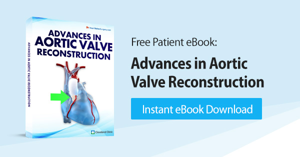 Advances in Aortic Valve Reconstruction