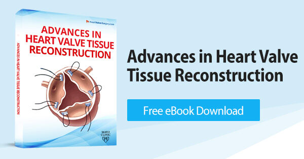 Advances in Heart Valve Tissue Reconstruction