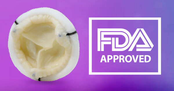 Epic Plus Heart Valve FDA Approval
