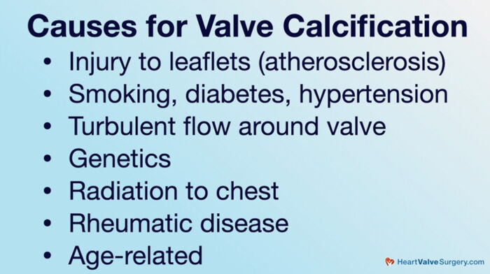 Heart Valve Calcification Causes