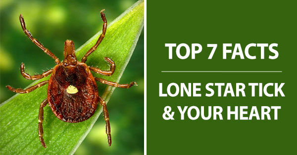 Lone Star Tick, Alpha-Gal Syndrom & Heart Valve Replacements
