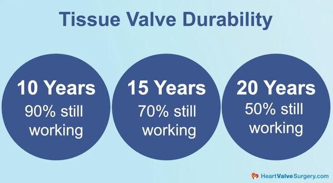 Tissue Heart Valve Durability