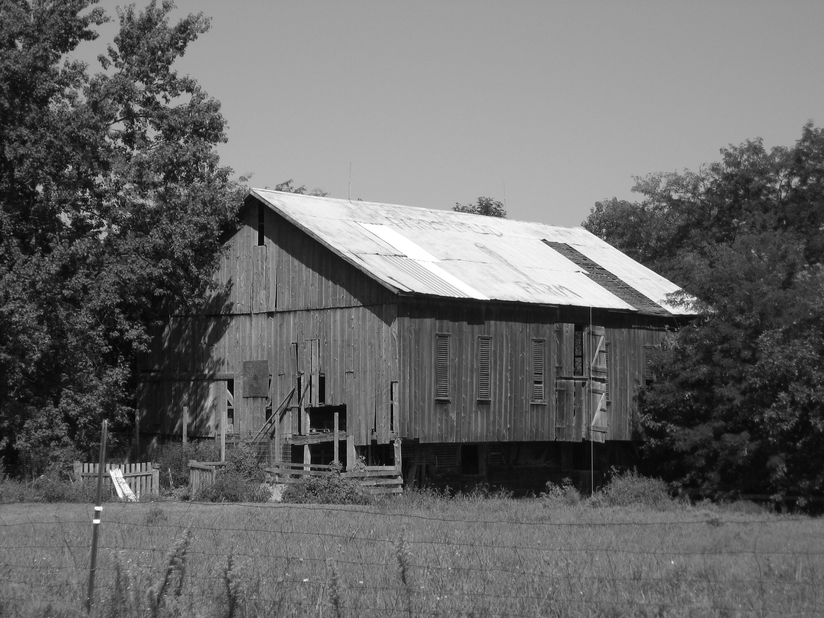 Picture