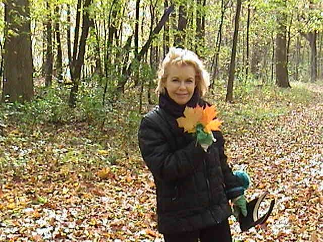 Taking a walk in the forest