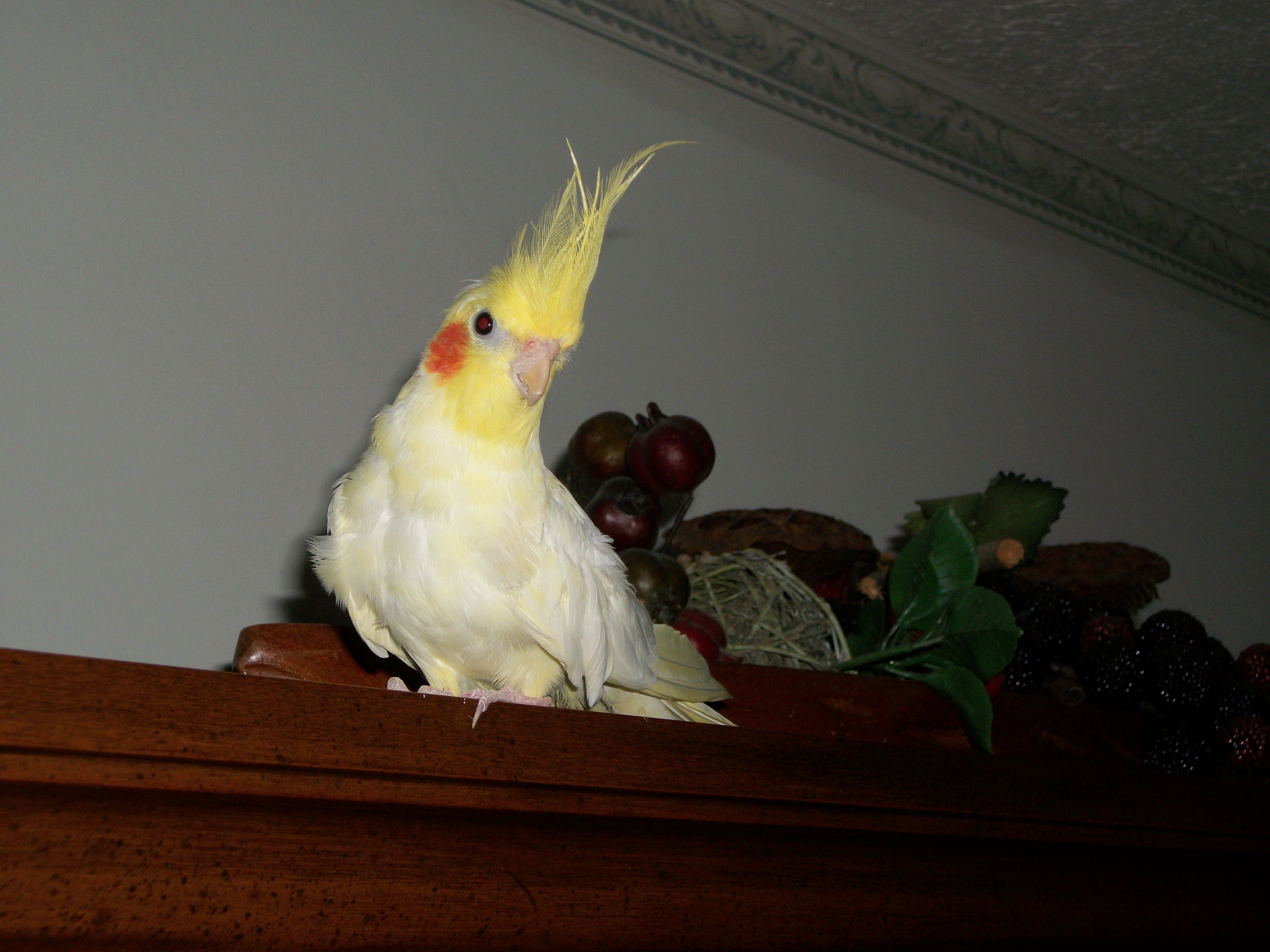 Picture