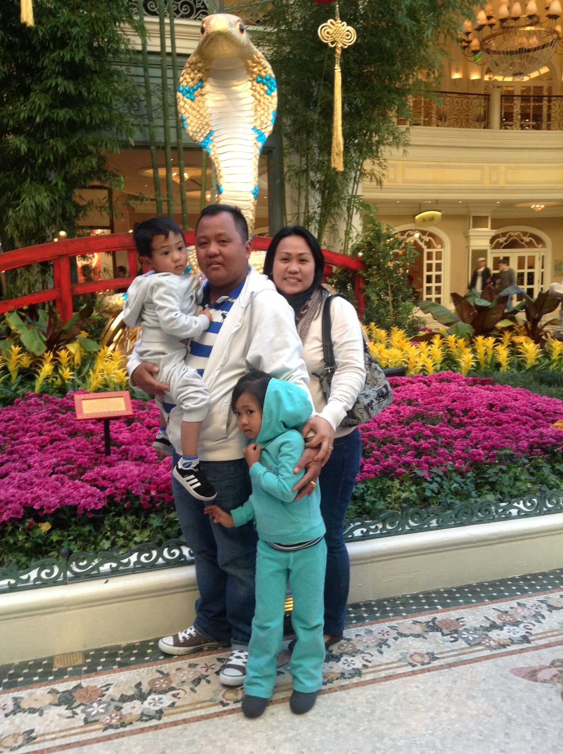 Picture
