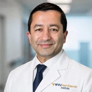 Dr. Vinay Badhwar, Executive Chair