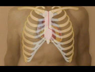 Different Surgical Approaches For Aortic Valve Replacement with Dr. Marc Gillinov