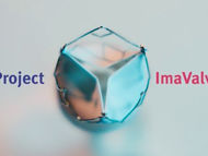 Project ImaValve: Can A Heart Valve Heal Itself?